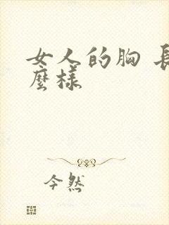 女人的胸 长什么样封面