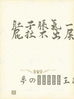 肚子胀气一直放屁拉不出屎封面