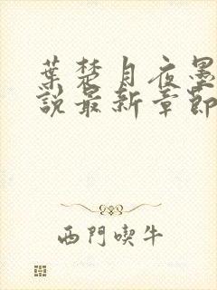 叶楚月夜墨寒小说最新章节列表