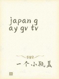 japan gay gv tv封面