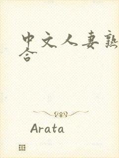 中文人妻熟妇综合封面