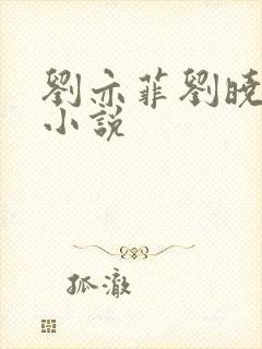 刘亦菲刘晓莉双小说