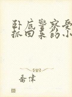 卧底警察受逃跑抓回来的小说