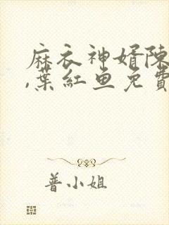 麻衣神婿陈黄皮,叶红鱼免费阅读9章封面