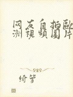 网友自拍欧美亚洲视频图片小说