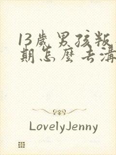 13岁男孩叛逆期怎么去沟通封面