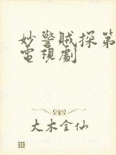 妙警贼探第五季电视剧