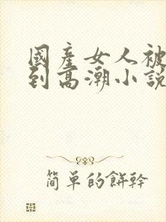 国产女人被狂躁到高潮小说