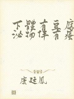 下体有豆腐渣分泌物伴有瘙痒用啥药