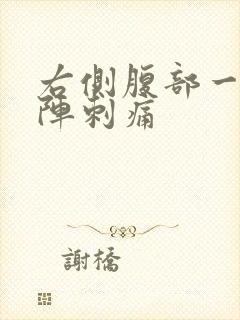 右侧腹部一阵一阵刺痛封面