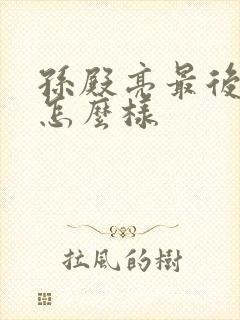 孙殿亮最后结局怎么样封面