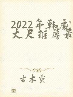 2022年韩剧大尺推荐最火电视剧