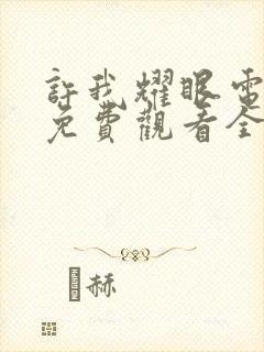 许我耀眼电视剧免费观看全部15集