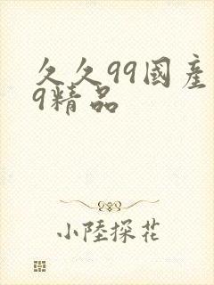 久久99国产99精品封面