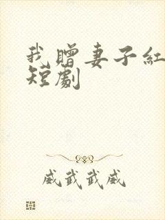我赠妻子红缨枪短剧