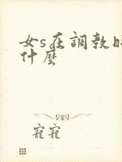 女s在调教时说什么