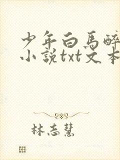 少年白马醉春风小说txt文本下载