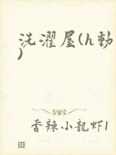 洗濯屋(h动漫)