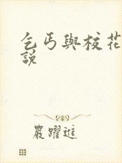 乞丐与校花的小说