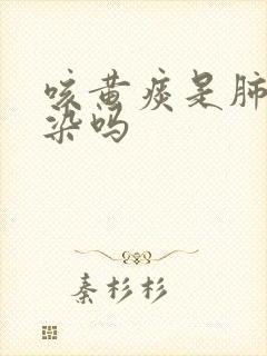 咳黄痰是肺部感染吗