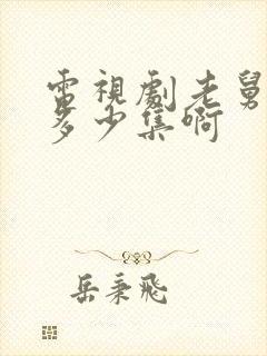 电视剧老舅一共多少集啊