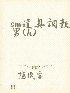 sm道具调教男男(h)