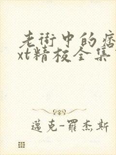 老街中的痞子txt精校全集下载