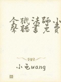 全职法师小说有声听书免费