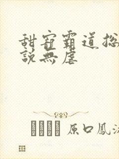 甜宠霸道总裁小说无虐