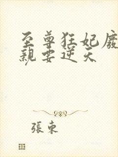 至尊狂妃废材娘亲要逆天