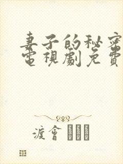 妻子的秘密韩国电视剧免费完整观看封面