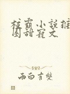 校霸小说推荐校园甜宠文