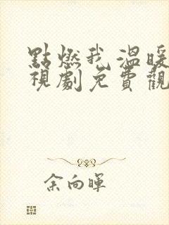 点燃我温暖你电视剧免费观看高清封面