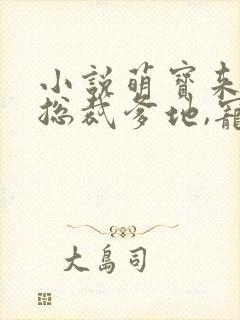 小说萌宝来袭:总裁爹地,宠上天