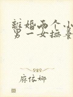 离婚两个小孩一男一女抚养权怎么判定