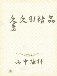 久久91精品国产