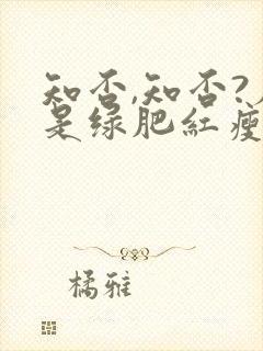 知否,知否?应是绿肥红瘦原著小说