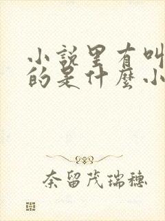 小说里有叫苏月的是什么小说封面