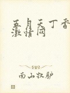 五月天丁香婷婷激情网