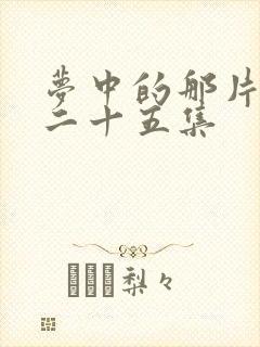 梦中的那片海第二十五集