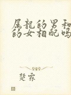 属龙的男和属鼠的女相配吗封面