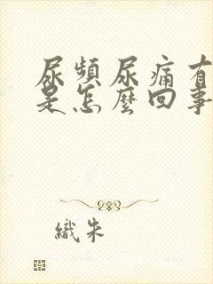 尿频尿痛有点血是怎么回事封面