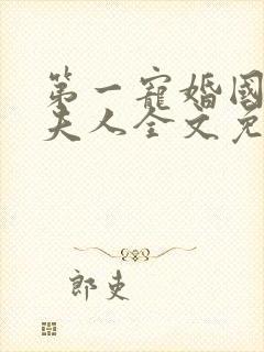 第一宠婚国民少夫人全文免费阅读