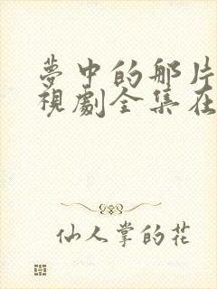 梦中的那片海电视剧全集在线观看