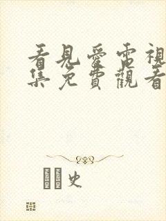 看见爱电视剧全集免费观看完整版高清