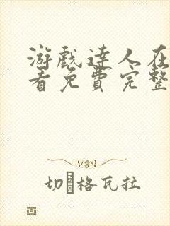 游戏达人在线观看免费完整版