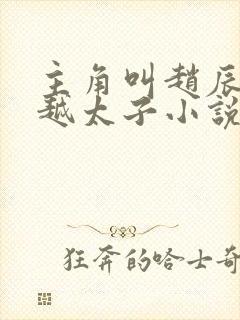 主角叫赵辰的穿越太子小说