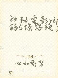 神秘电影vip的5条路线免费观看封面