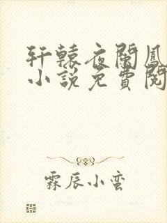 轩辕夜阑凤云倾小说免费阅读笔趣阁