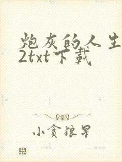 炮灰的人生快穿2txt下载